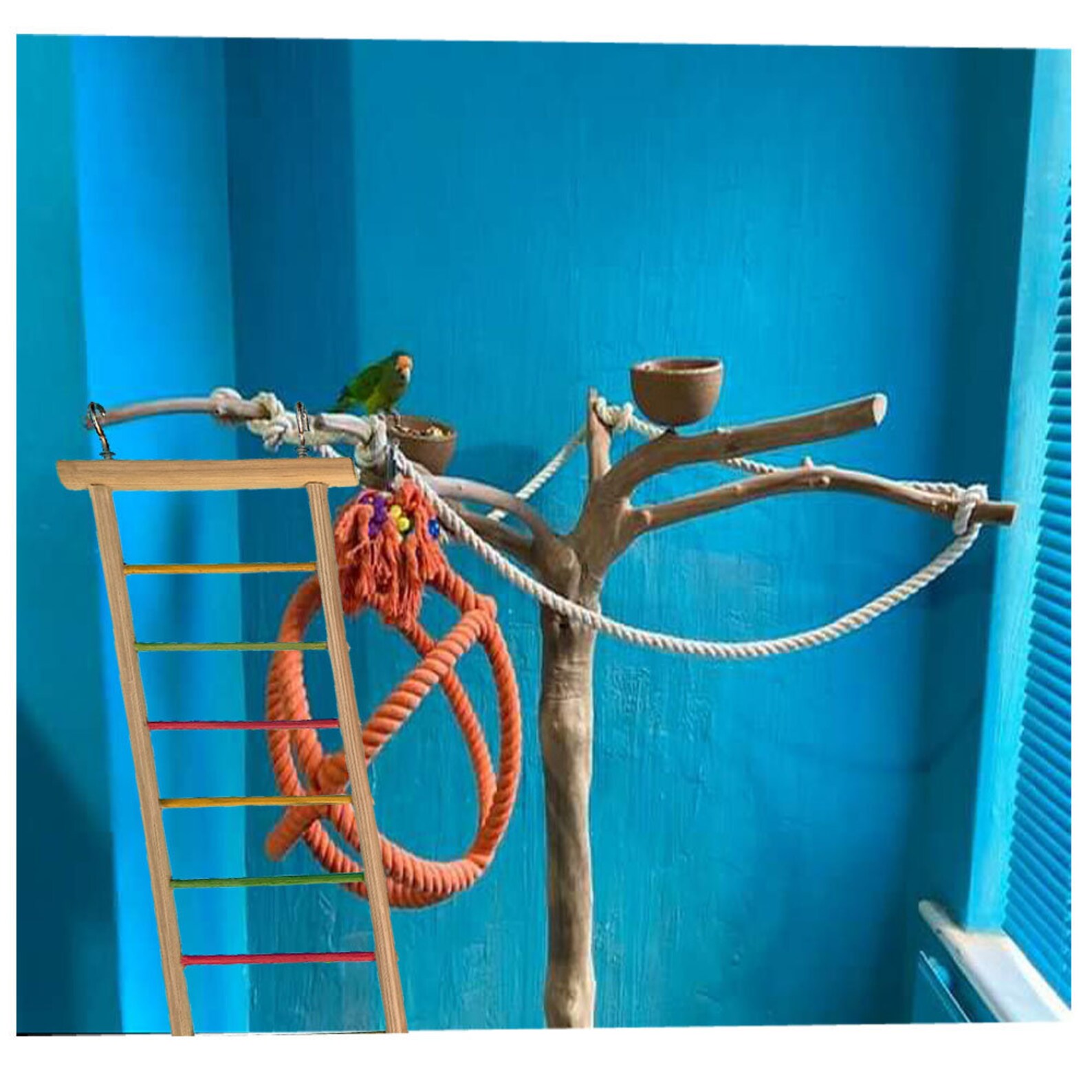 Bird toy ladder for small pet birds Etsy