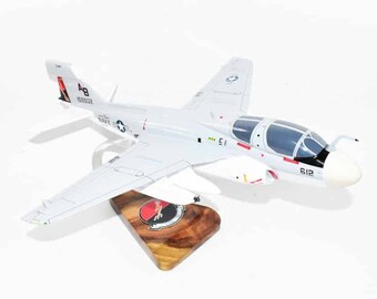 VAQ-133 Wizards EA-6b Model