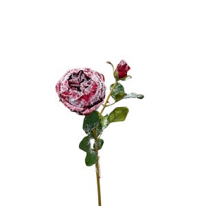 May include: A single stem featuring a deep red rose bloom and a smaller closed rosebud, both dusted with a white, snow-like powder. The stem includes several green leaves, also lightly coated in the same white, frost-like texture throughout.