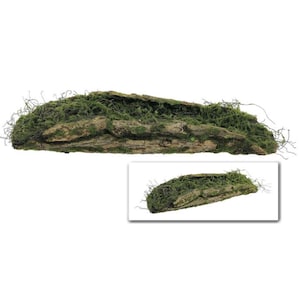 26" Natural Tree Fern Bark Planter with Moss | Rustic Floral Container for Centerpieces, Terrariums, Weddings & Crafts(S1496/L)