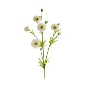 May include: A single stem of artificial ranunculus flowers. The flowers have creamy white petals and green leaves. The faux flowers have a realistic appearance, with multiple blooms and buds. The stem is a vibrant green, set against a white background.