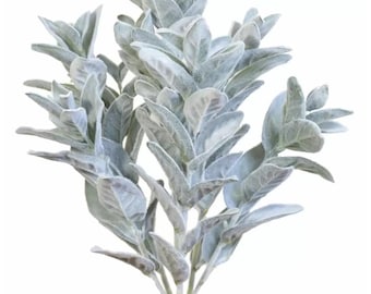 Arbusto de oreja de cordero artificial verde de 23" | Paquete de 6 tallos de oreja de cordero artificiales para decoración rústica, centros de mesa, coronas y arreglos florales