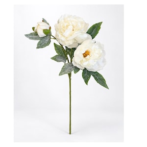 May include: A single artificial floral stem featuring two fully bloomed cream-colored peony flowers and one closed bud. The stem includes several green leaves with a light dusting of white frost, all attached to a thin, straight green stalk.