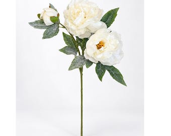 Snowy Cream Peony Spray - Frosted Winter Floral Stem - 25.5 Inch-XM14832-CR