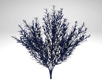 ローズマリー Rosemary Seeds | Johnny's Selected Seeds