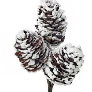 May include: A decorative branch featuring three brown pine cones with white flocking on the edges of the scales. The pine cones are arranged in a cluster, with one positioned at the top and two below, all attached to a single brown stem.