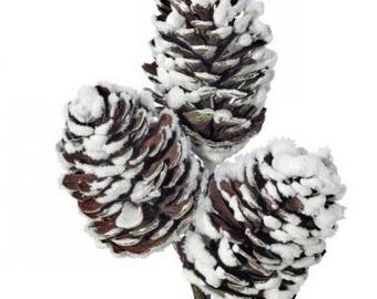 Snowy Pinecone Pick x3 12"-MTX65815