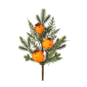 May include: A festive Christmas pick with green pine needles and three orange orbs studded with cloves. The orbs have star-shaped spice accents. The stem is brown.
