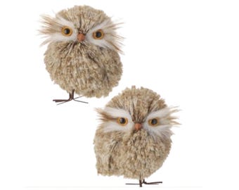 Winter Chalet Owl Ornament 5.5" Set of 2-MTX74124