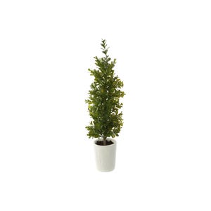 May include: A small, artificial topiary tree in a white ceramic pot. The tree has dense, green foliage and a slender, upright shape. The pot is smooth and cylindrical, providing a clean, modern aesthetic. Perfect for home decor.
