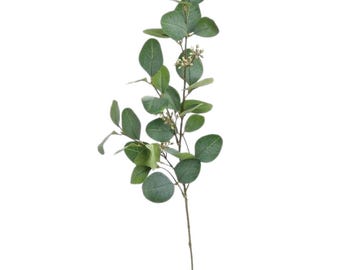 Silver Dollar Eucalyptus Spray - Blue Green Foliage Stem - 30 Inch-FL3514BG