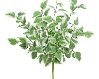 18" Arrow Ivy Bush in Green/Cream - Greenery Accent for Decor - Perfect for DIY Arrangements and Centerpieces- TCT Crafts (PM3020-GC)