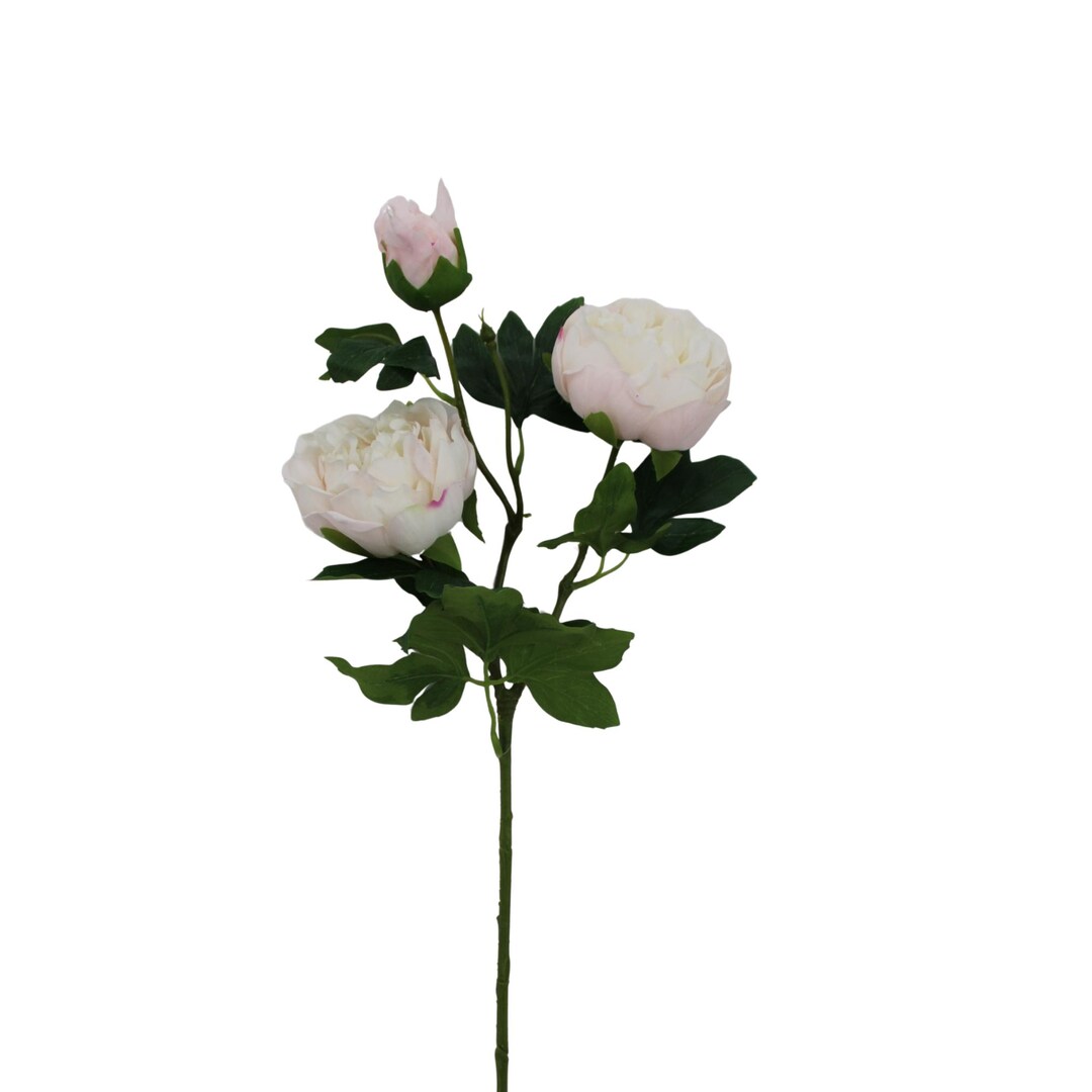 Soft Touch Peony Stem Cream Pink Spring Floral-85464-crpk - Etsy