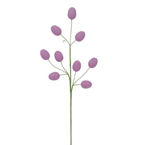 May include: A single stem with multiple small, light purple, round, fuzzy berries.