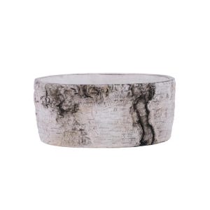 May include: A round, low-profile planter featuring a textured exterior that mimics the appearance of white birch tree bark. The surface displays realistic gray and white horizontal striations, knots, and a vertical fissure, with a smooth interior.