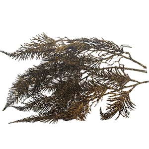 XS5551A7-37"L Lace Fir Spray Copper/Black, Wreath Supplies,Greenery Spray,Craft Supplies,Fall Sprays