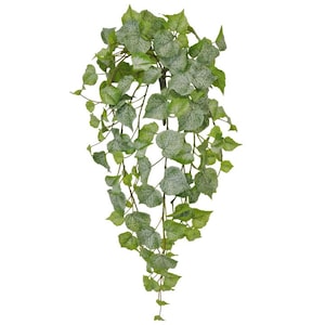 May include: A long, green artificial ivy vine with a frosted finish. The vine is hanging down and has many leaves.