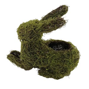 May include: A decorative Easter bunny planter made of woven twigs and covered in green moss. The bunny has a hollowed-out center for planting small flowers or herbs. The bunny is a light green color and has long ears.