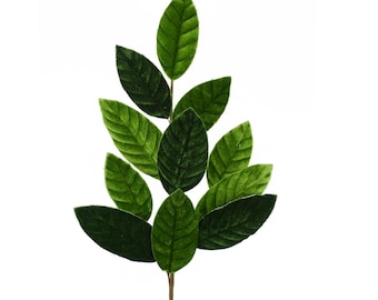 Green Velvet Magnolia Leaf Spray 25"-84602SP25