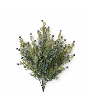 Könnte beinhalten: Ein dekorativer botanischer Zweig mit dichtem, federartigem, zedernähnlichem Laub, das mit zahlreichen kleinen, runden, staubblauen Beeren durchsetzt ist. Die Stiele laufen an einer Basis zusammen und bilden ein fächerförmiges Arrangement.