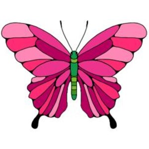 Borboleta