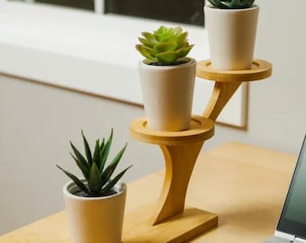 Bamboo Succulent Plant Stand | House Warming Gift | Office | Plant Lovers | Modern | Eco-Friendly | Zero Waste |