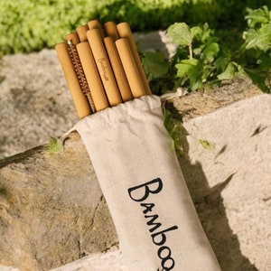 10 Reusable Bamboo Drinking Straws, Zero Waste, Sustainable, Compostable, Earth Friendly