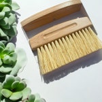Brushes