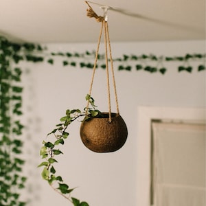 Fioriera in cocco con spago di juta naturale / Ecologica / Fioriera fatta a mano / Compostabile / Piante da casa / Regali di inaugurazione della casa
