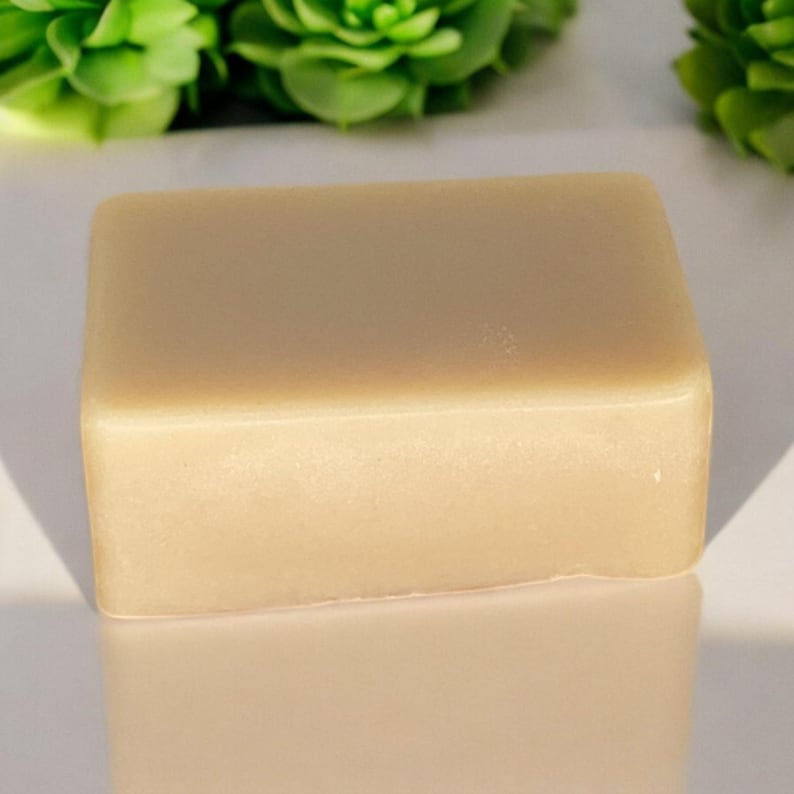 Bamboo Switch Home Essentials Kit - Thumbnail 4