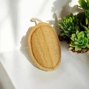 Natural Loofah Sponge Double Layer | Eco Friendly Exfoliating Luffa Sponge | Organic, Earth Friendly, and Zero Waste Bath Accessory