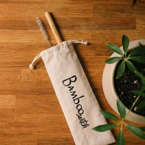 10 Reusable Bamboo Drinking Straws, Zero Waste, Sustainable, Compostable, Earth Friendly 1 Straw & Cleaner