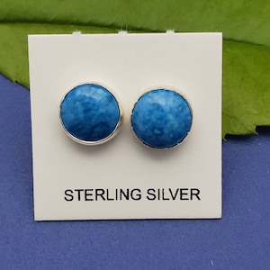 May include: A pair of sterling silver stud earrings with blue stone insets. The stones have a marbled pattern.