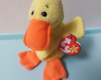 Quackers the hotsell duck beanie baby