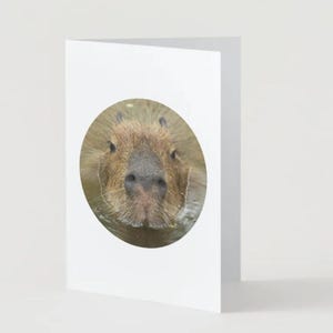 Instant download capybara printable card cute capybara greetings card