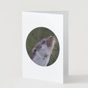Instant download otter printable card cute otter greetings card