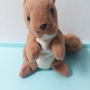 May include: A brown and white plush squirrel toy with black eyes and a black nose. The squirrel is sitting up with its paws in front of it.