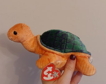 Cadeau miniature de terrarium de tortue de tortue de tortue en