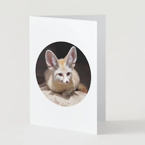 Instant download Fennec Foxes very cute Eurasian Fennec Fox printable card same day card