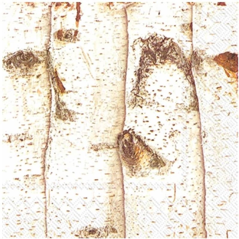 Birch Bark Paper - Etsy