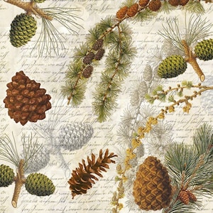 May include: A seamless pattern featuring a variety of pine cones and branches on a white background with handwritten text. The pine cones are in shades of brown, green, and gray. The branches are in shades of green.