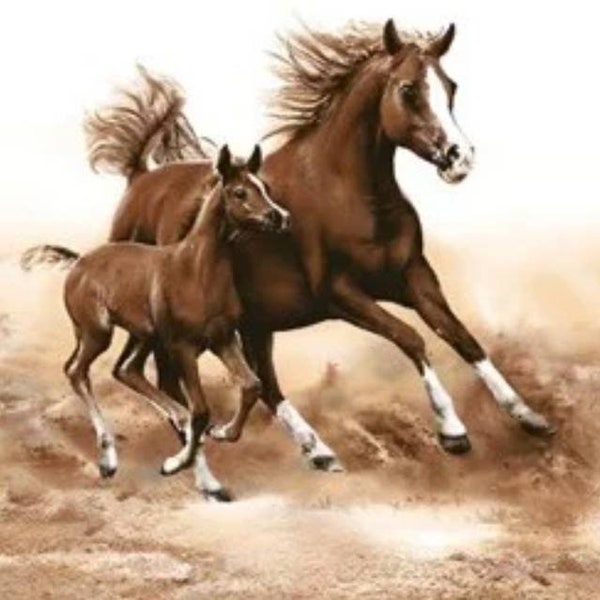 Rice Paper Napkins Etsy