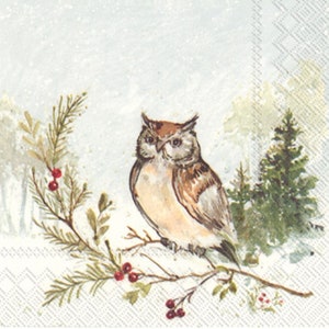 Decoupage Napkins - Owl Paper Napkins - Set of 3 - Cocktail Size