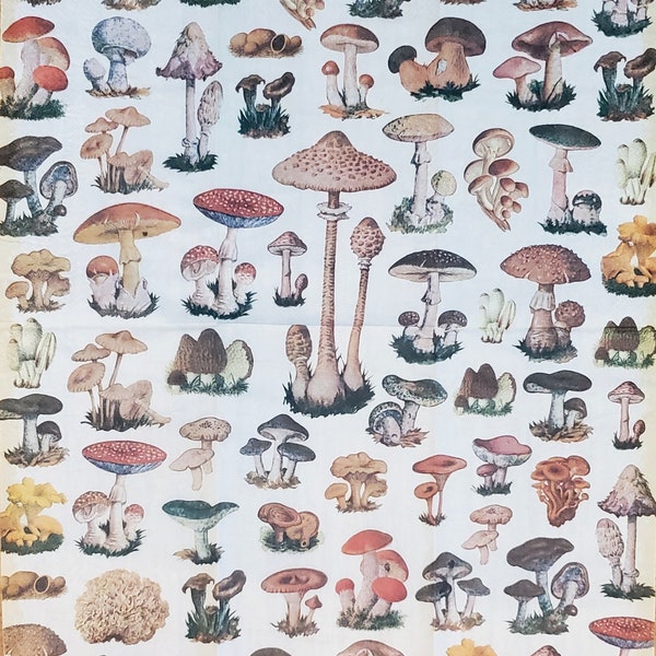 Decoupage Napkins,  Vintage Mushroom Botanical Paper Napkins- Set of 2- Guest Size 15 3/4" x 13" folded