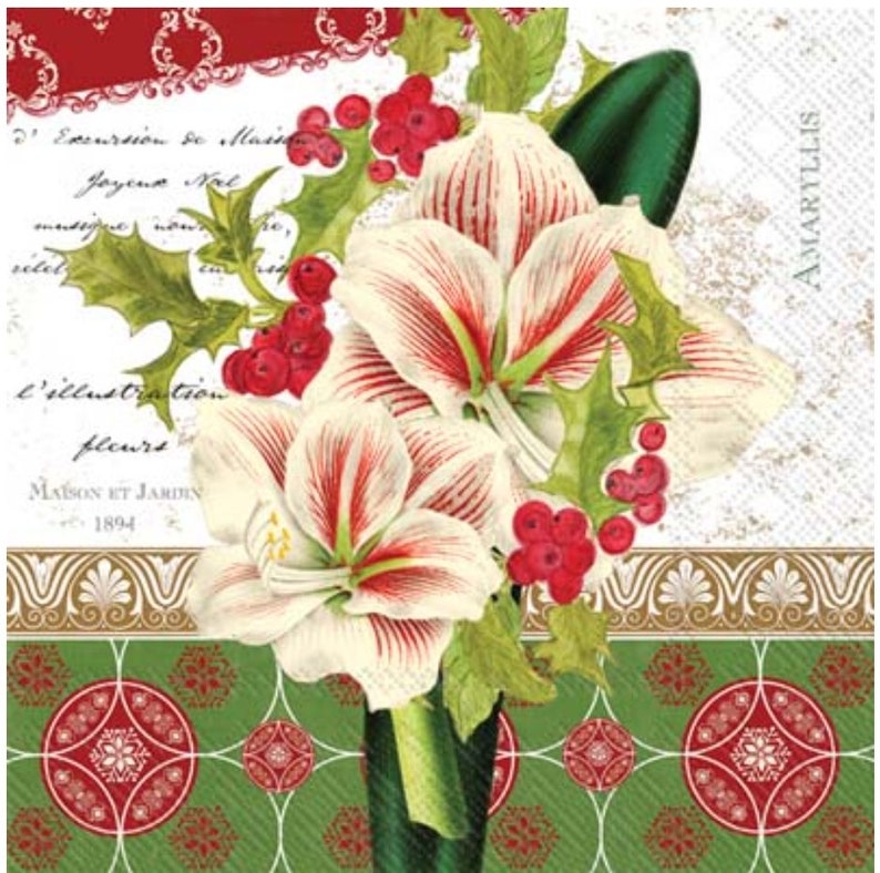 WhiteFoxFinds Amaryllis Paper Napkins