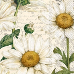 Decoupage Napkins - Daisy Flower Paper Napkins -Set of 2 - Guest Size