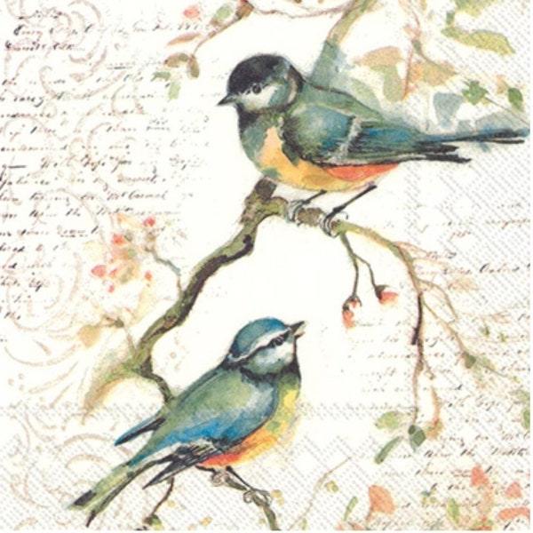 Decoupage Napkins- Bird Paper Napkins- Set of 3 - Cocktail Size