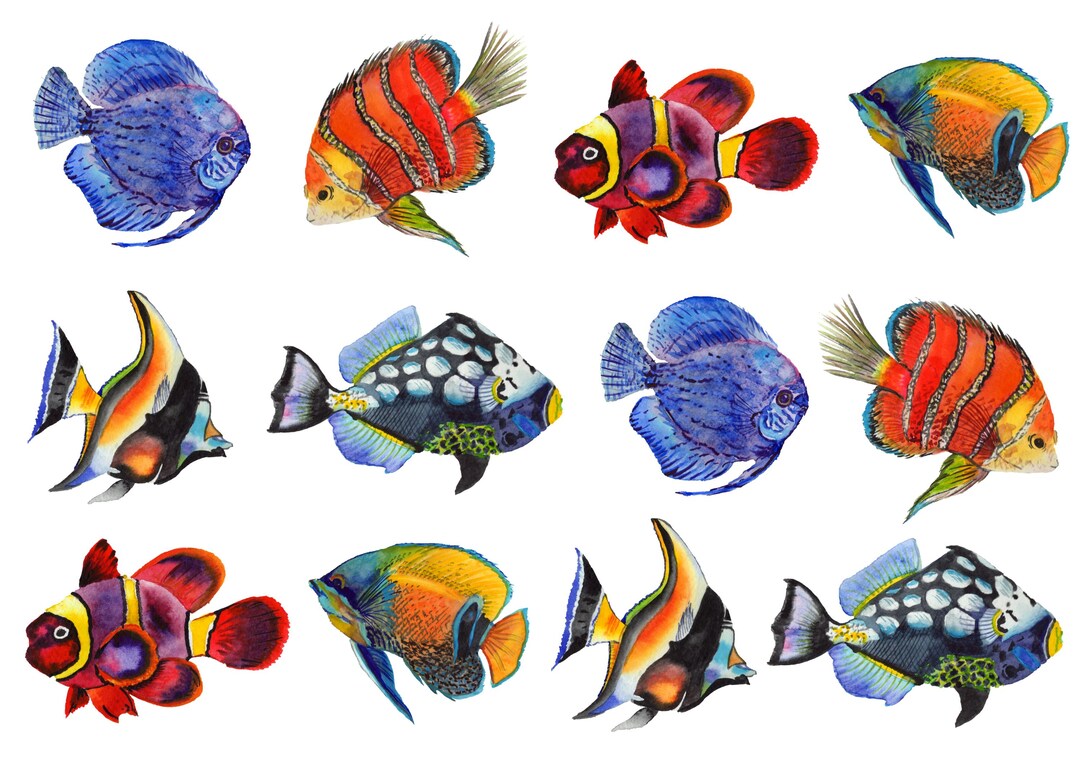 Rice Paper for Decoupage / Tropical Fish Ocean Beach / 1 Rice Paper ...