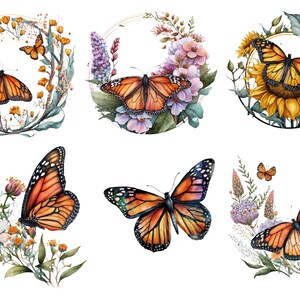 May include: Six watercolor illustrations of monarch butterflies with floral arrangements. The butterflies are orange and black with black veins. The flowers are in shades of pink, purple, yellow, and green.