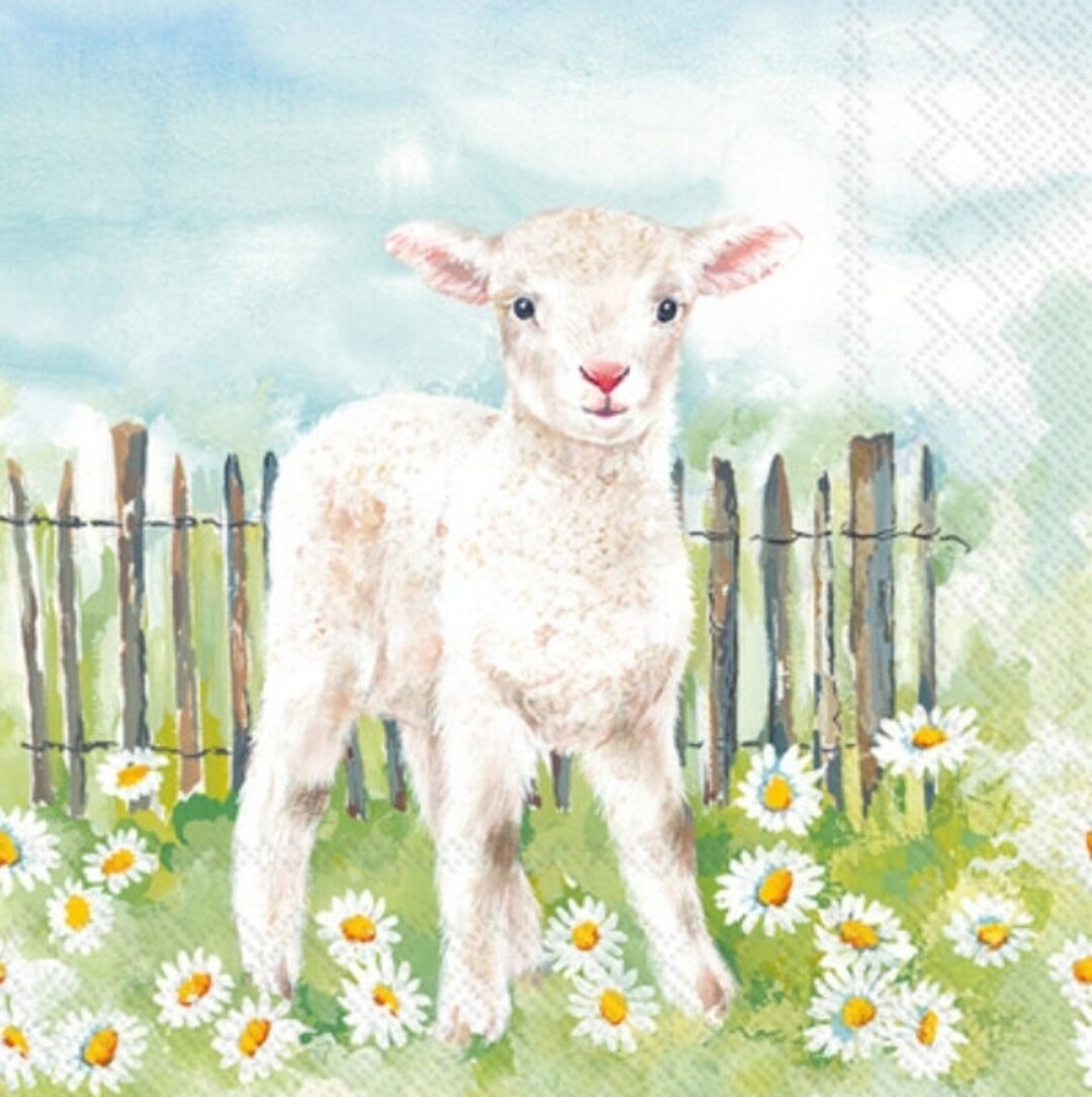 Decoupage Paper Napkins Lamb Paper Napkins Set of 3 cocktail Size - Etsy